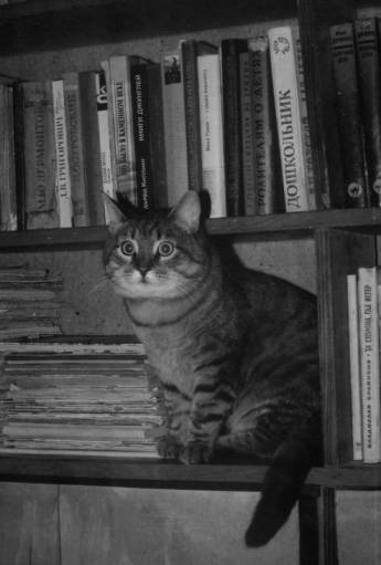 фото кот-книголюб...
