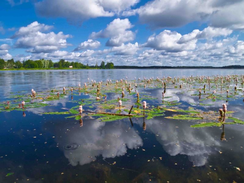 фотографии природы валдайское озеро