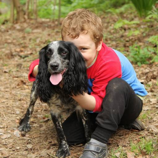 фотография собака с мальчиком