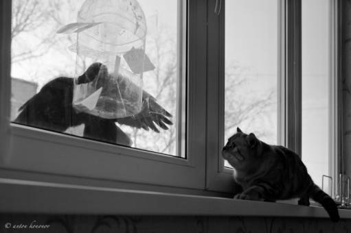 фотография *ква*