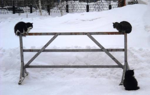 фото первый день весны