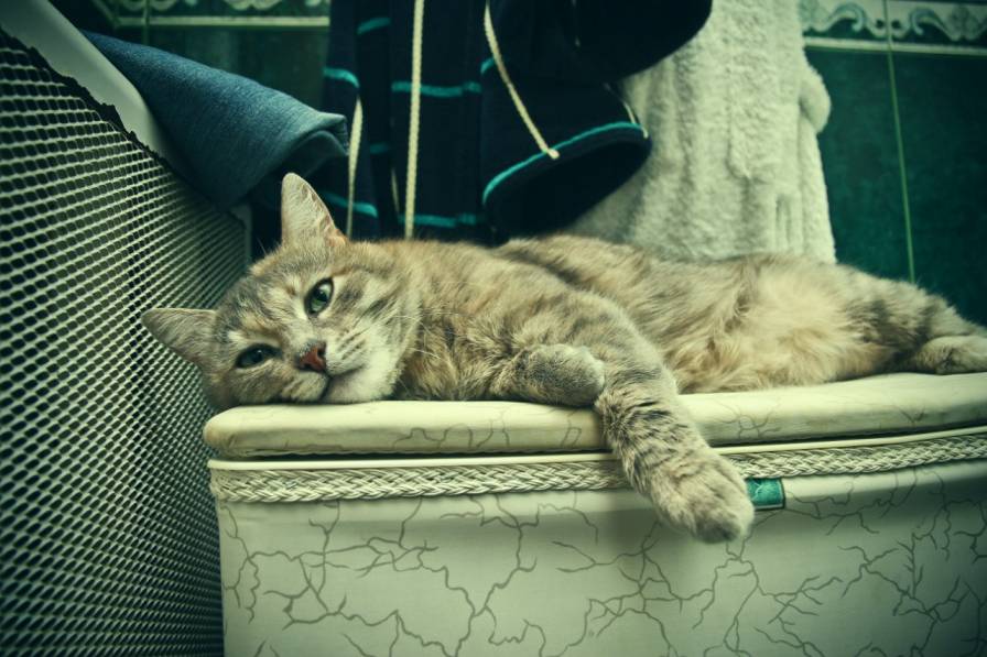 фотография отдых.