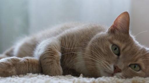 фото отдохнем?