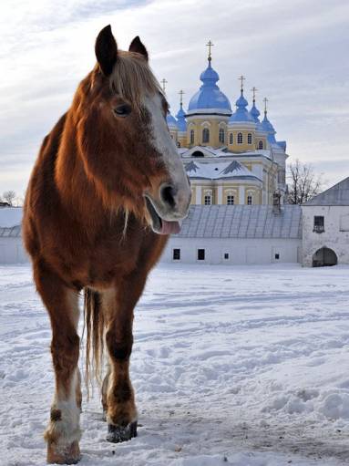 фото привет фотографы!