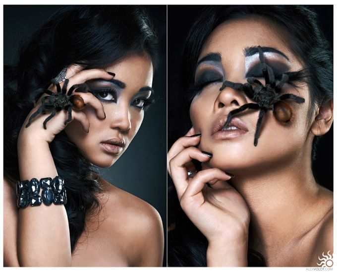 spider lady