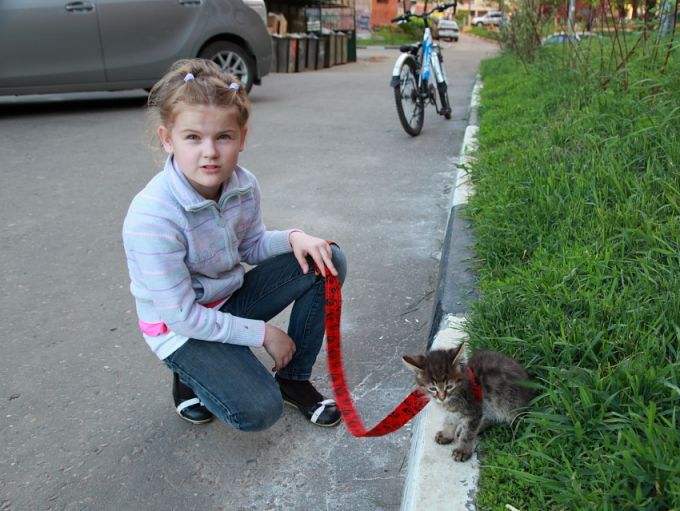 фото прикольные алая ленточка - люди без прекрас.
