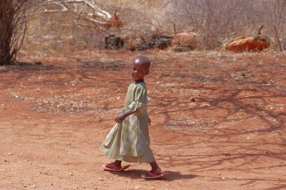 фотография afrika