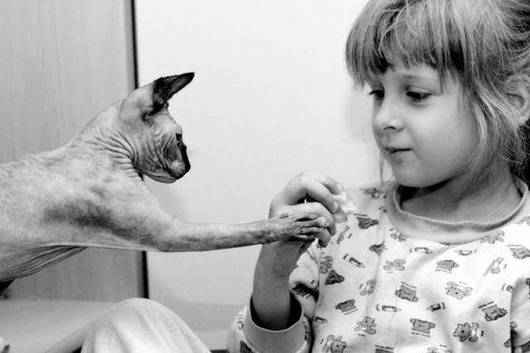 фото прикольные "делись"
