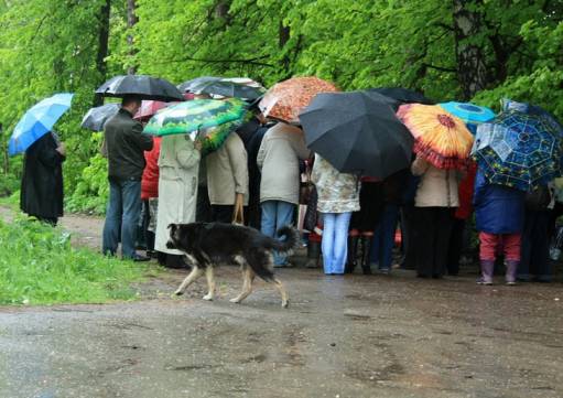 фото "не обойдёшь их..."