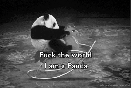 gif panda, сленг мира