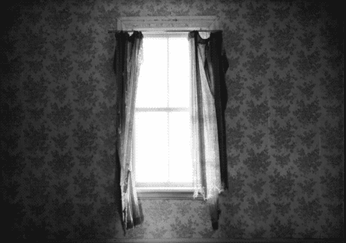 gif фотографии, окно