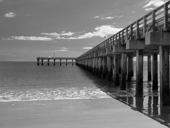 фото coney island (3)