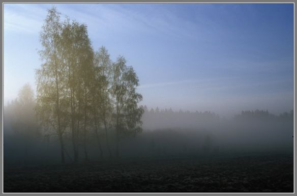фото видные места в тумане