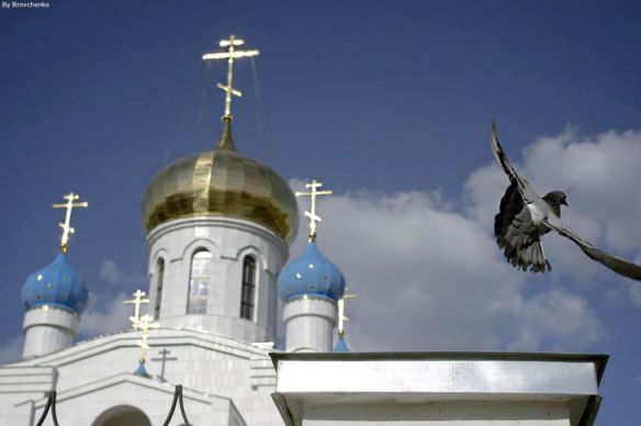 фото мы полетим.