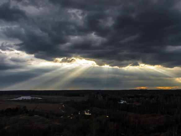 дикая природа лучи солнца