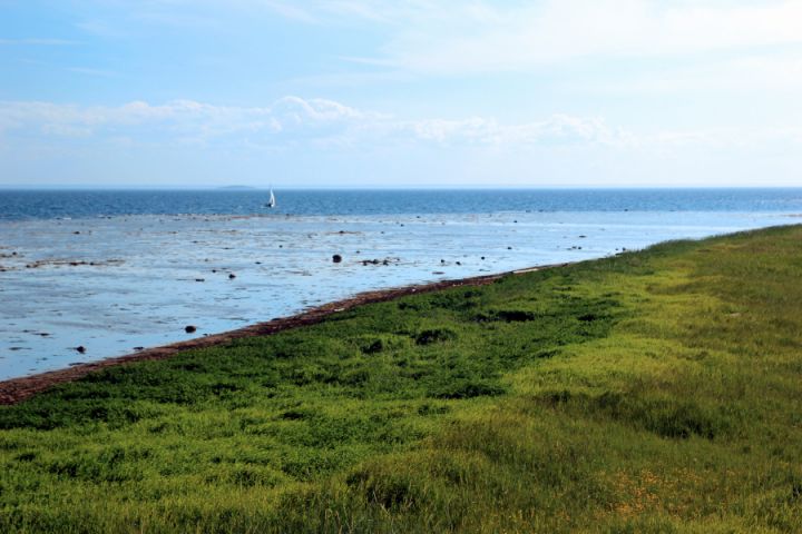красивые места белеет мой парус