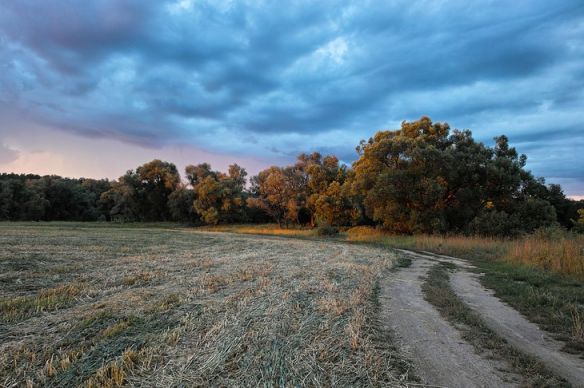 фотография дождливое лето