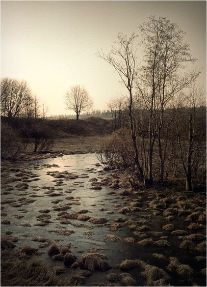 фотография хрупкий лёд