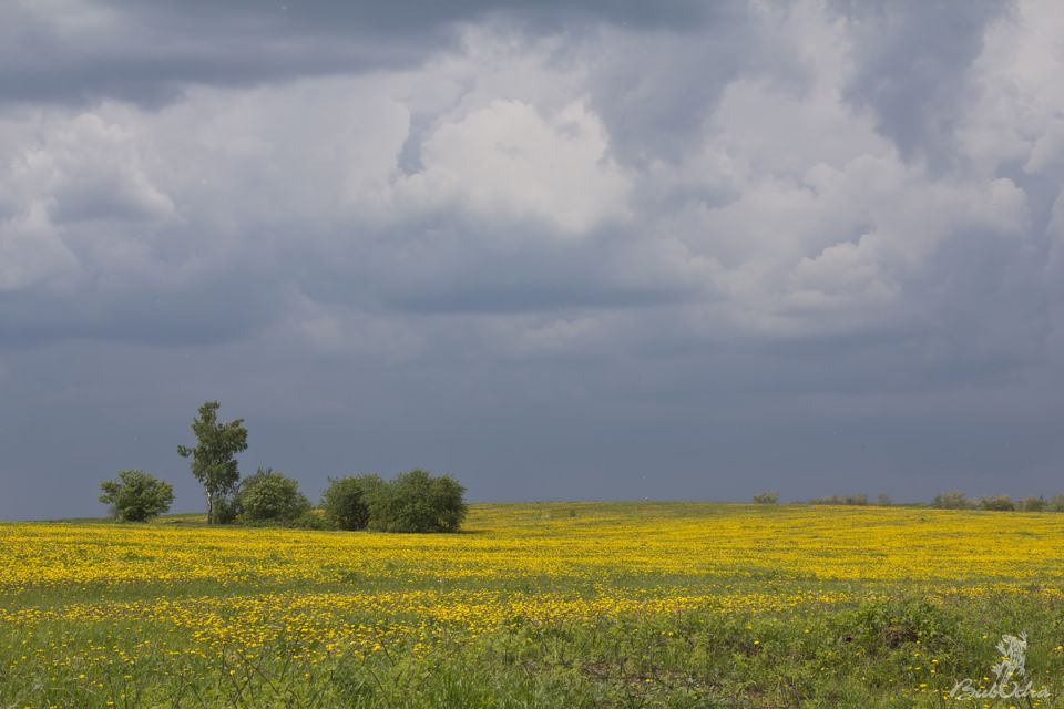 пейзажи и природа