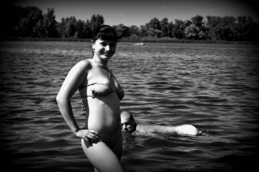 фотография корова)))