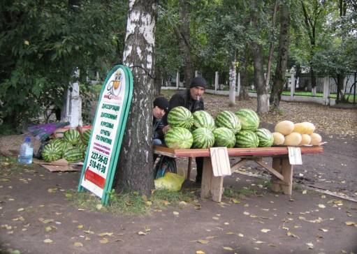 образование......