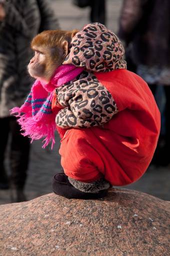 фото c жарой обманули, блин... посмотрим, как с едойбудет...... - прогулки по санкт-петербургу