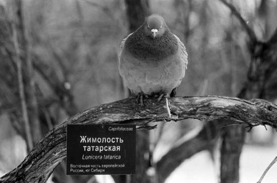 фото а он и не знал...