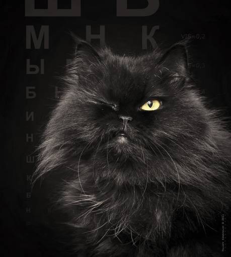 фото у окулиста-закройте правый глаз....