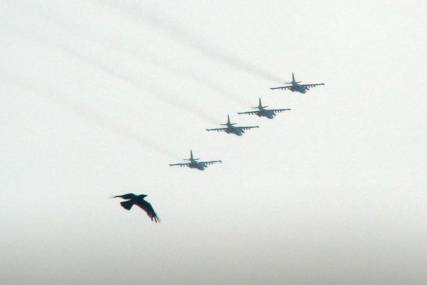 фото стая