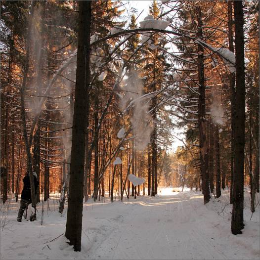 фото падает снег... - а вам слабо?
